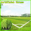 Football Grass For Training